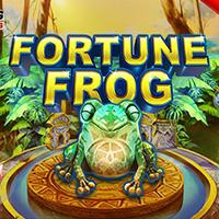 Fortune Frog